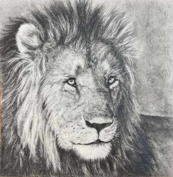 Tsavo Lion by Jennifer Winkelman, Image 1.
