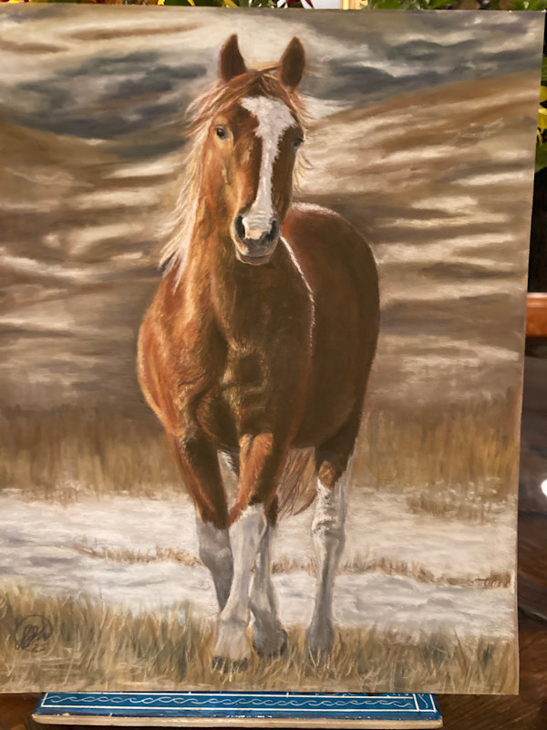 Horse by Jennifer Winkelman