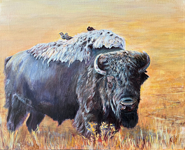 Bison in Golden Field by Jennifer Winkelman, Image 1.