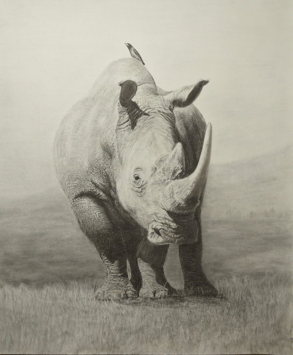 Rhino on the Hill by Jennifer Winkelman, Image 2.