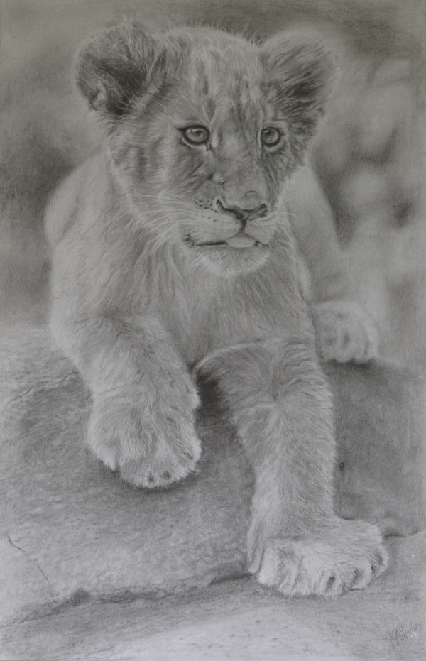Lion Cub by Jennifer Winkelman, Image 1.