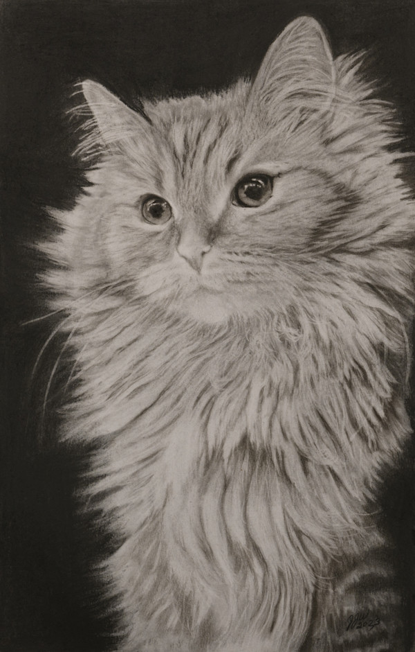 Anyone’s Cat by Jennifer Winkelman, Image 1.