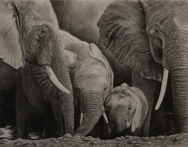 At the Waterhole by Jennifer Winkelman