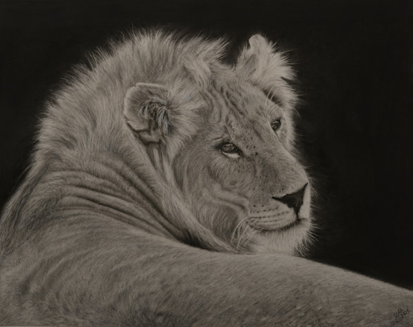 Lying Lion by Jennifer Winkelman, Image 1.