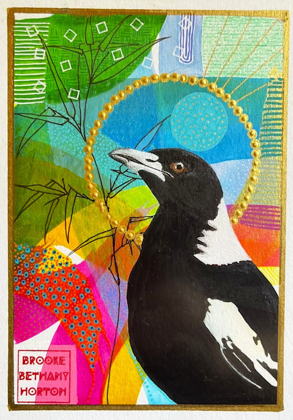 Australian Magpie Adult by Brooke Horton, Image 1.