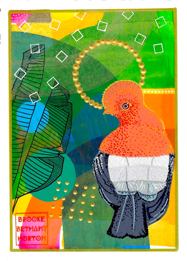 Cock of the Rock by Brooke Horton, Image 1.