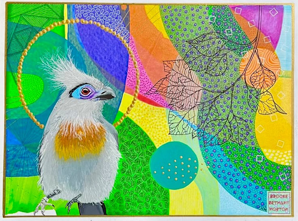 Crested Coua by Brooke Horton