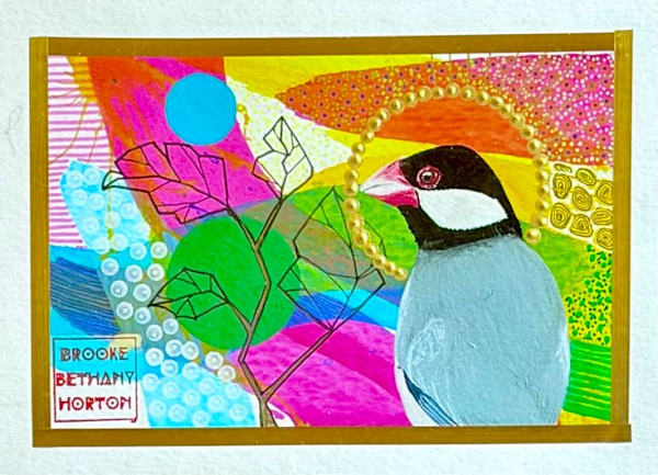 Java Sparrow by Brooke Horton, Image 1.