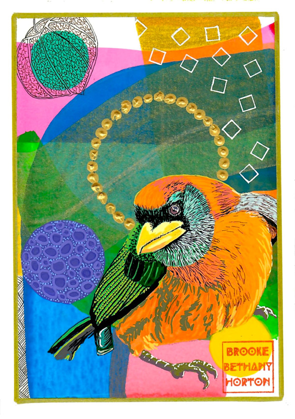 Red-Headed Barbet by Brooke Horton, Image 1.