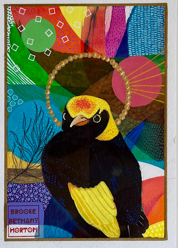 Regent Bowerbird by Brooke Horton, Image 1.