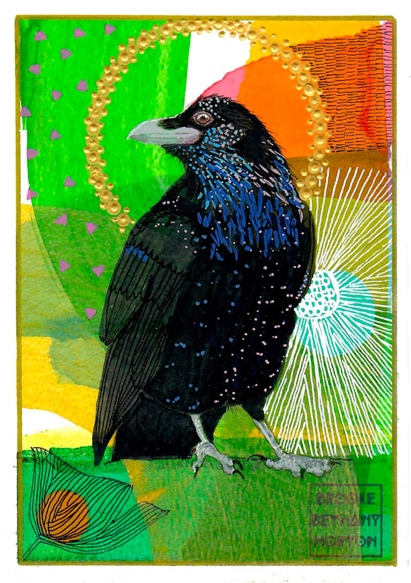 Spotted Crow by Brooke Horton, Image 1.