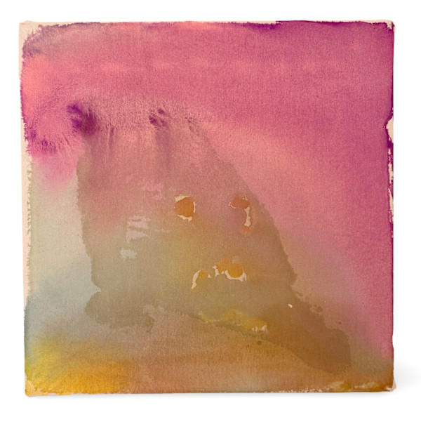 Field Study - Emergence by Stephanie Rado Taormina, Image 1.