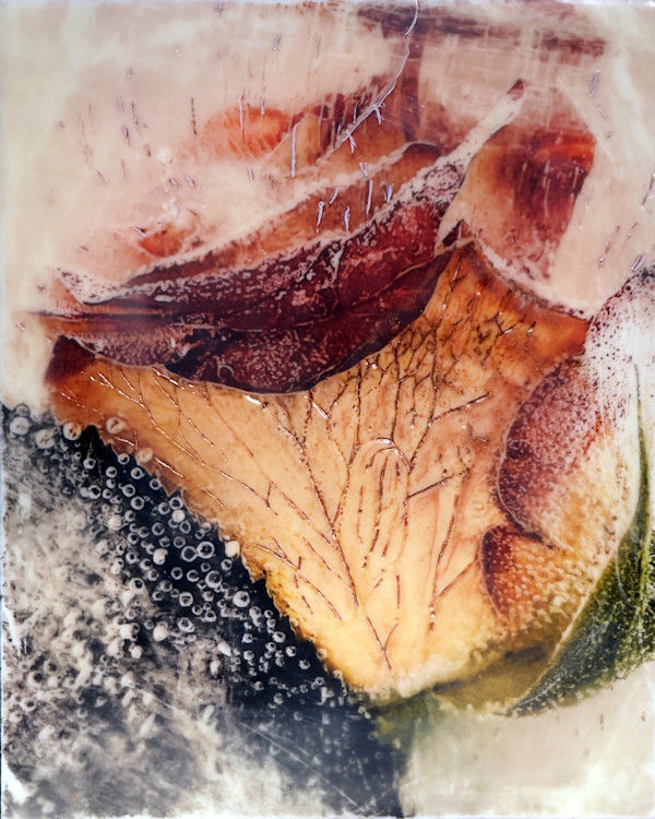 Broken Symmetry by Anne Kirsten Fjeld, Image 1.