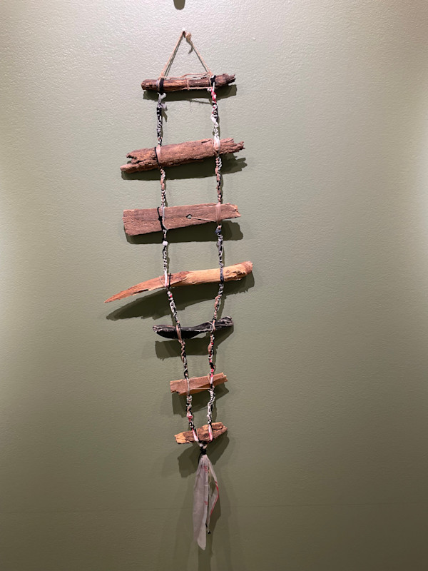 Transect by Braeden Kuppin, Image 1.