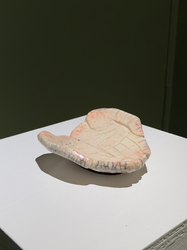 Offering by Braeden Kuppin, Image 1.