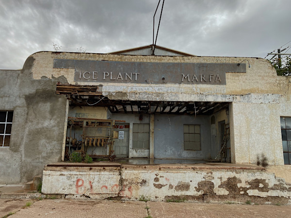 Ice Plant, Marfa by Debra Witter, Image 1.