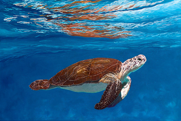 Sea Turtle by Amy Lynn Smith, Image 1.