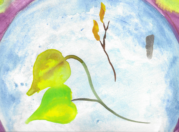 Cottonwood by Nomi Gallo, Image 1.