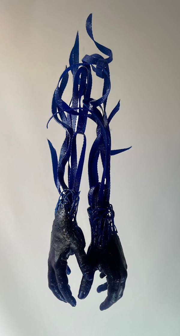 Como caídas del cielo by María Santamaría, Image 1.