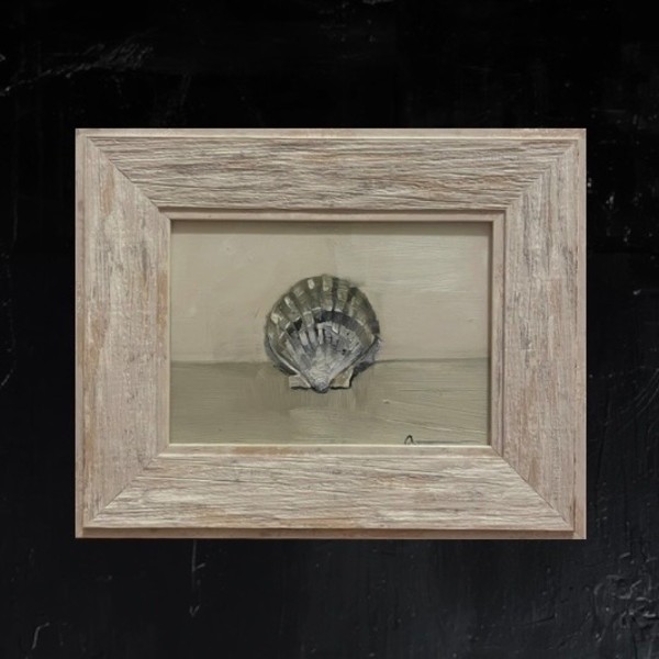 Single Shell 1 by Liz Amorosia, Image 1.