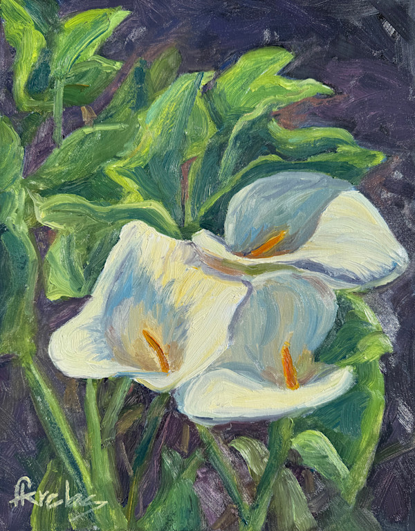 Calla Lillies in the Valley by Frances Krebs, Image 1.