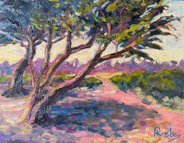Sand & Cypress by Frances Krebs