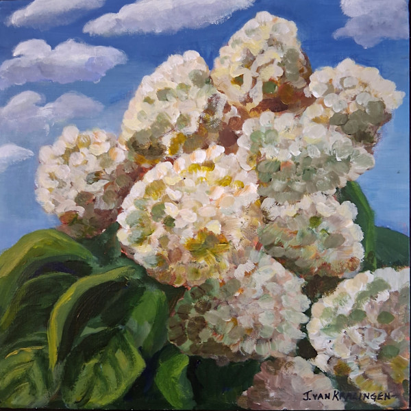 Splendid Hydrangeas by Joan van Kralingen, Image 1.
