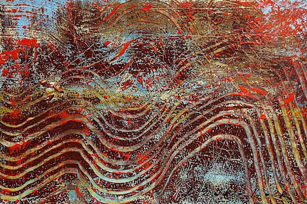 Arbutus (Bark 5) by Lori Sokoluk