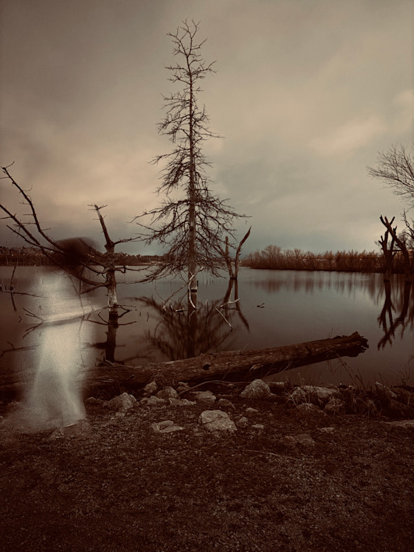 Reflecting by Lizz Dyer, Image 1.
