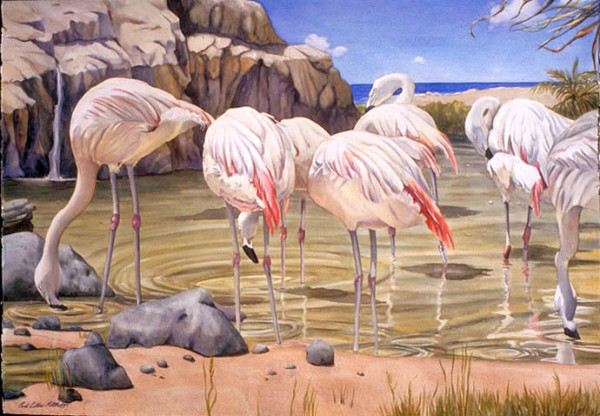 Flamingo Beach by Carol Cottone-Kolthoff