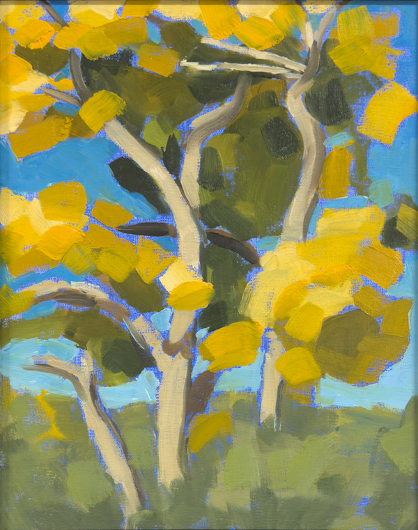 Autumn Cottonwoods by Judy Kelly