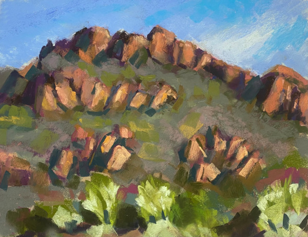 Tucson Mountains by Judy Kelly