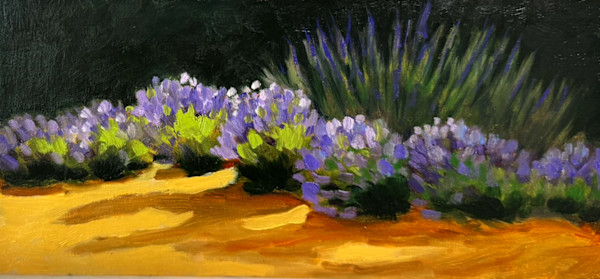 Lavender Dreams by Judy Kelly