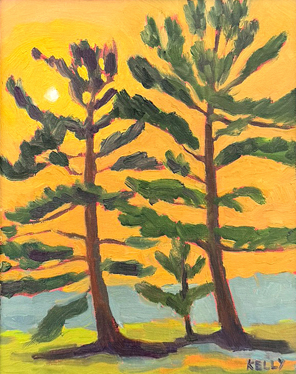 Sunset Pines by Judy Kelly