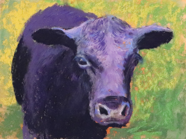 The Purple Cow by Judy Kelly