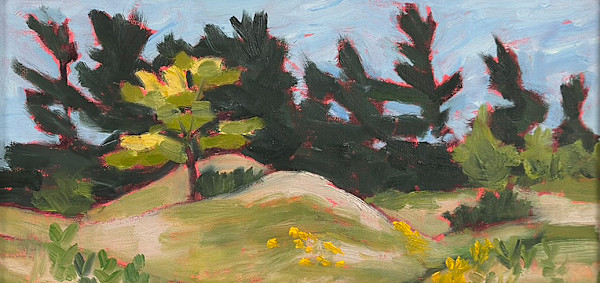 Windswept by Judy Kelly, Image 1.