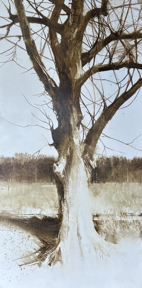 Dryad (Wilderness) by Charlie Hunter, Image 1.