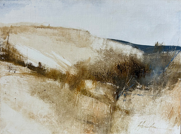 CERILLOS HILLS IV by Charlie Hunter