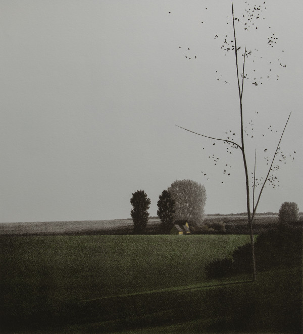 Fields at Morning by Robert Kipniss
