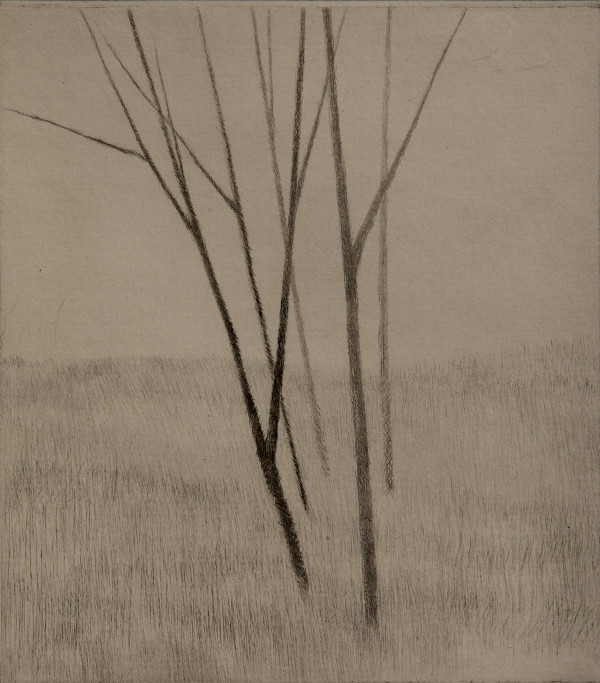 Slope w/five trees by Robert Kipniss