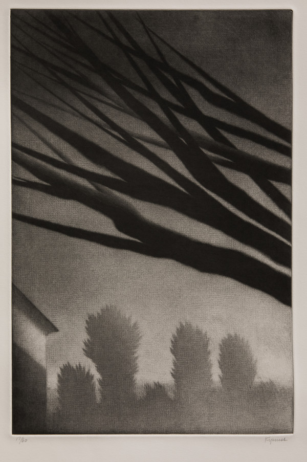 Branches, Millerton by Robert Kipniss