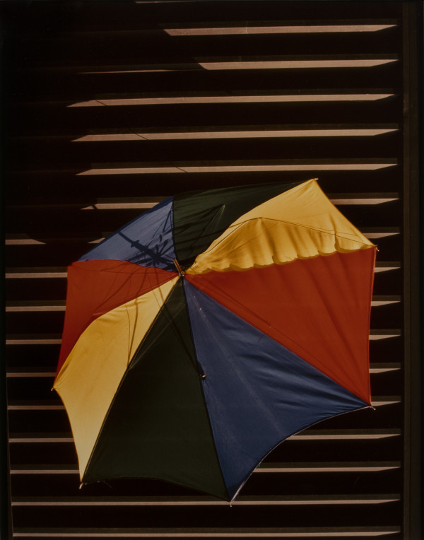 Umbrella by Susan Jean Lewis