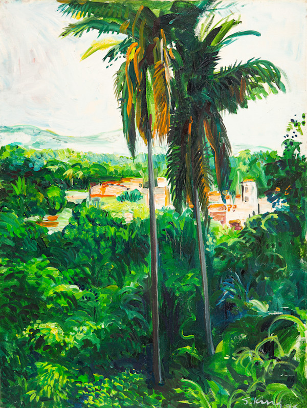 Untitled (Jungle Forest Landscape Near Puerto Vallarta) by Steven King