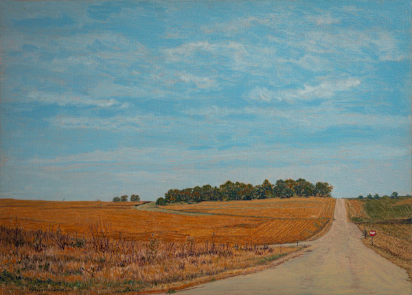 Near Westin by Mary Ballard