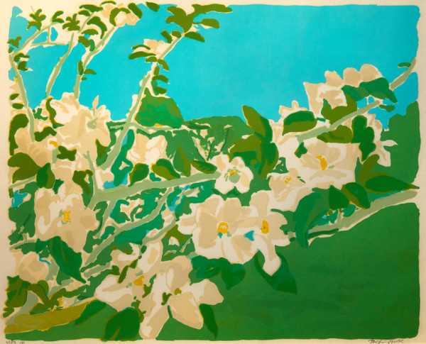 Apple Blossoms II (Ludman 28) by Fairfield Porter