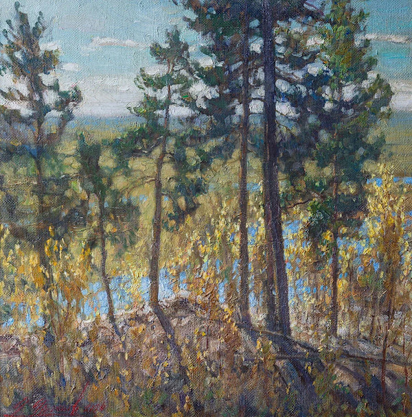 Уральские сопки by Александр Абинов