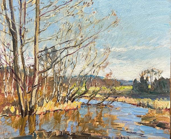 Разлив весной by Александр Абинов, Image 1.