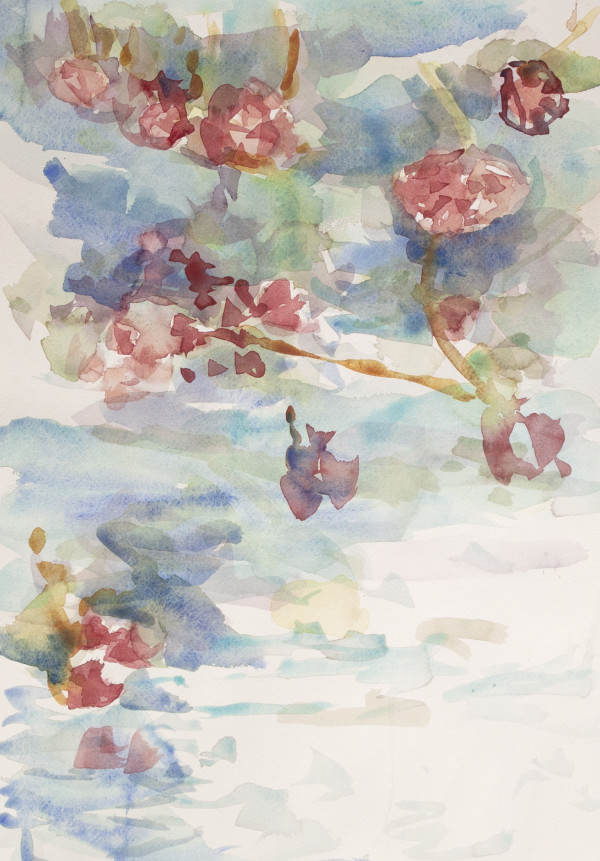 Pond Reflections by Lesley A. Powell 