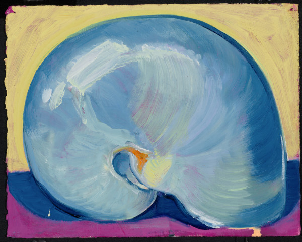 Blue Nautilus by Cristi Lyon