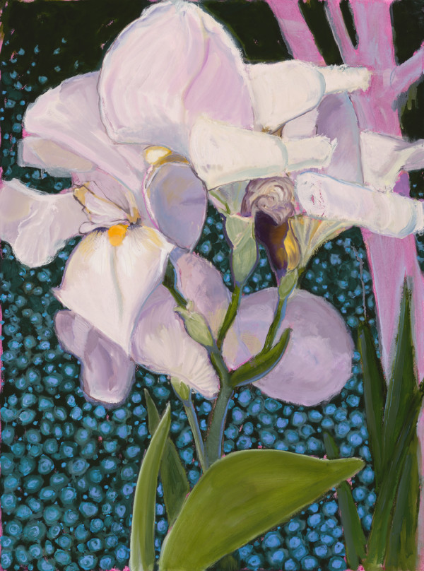 Iris with Blue by Cristi Lyon